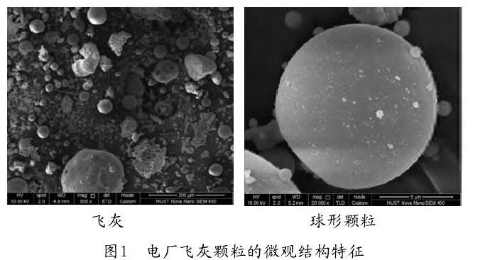 圖1 電廠飛灰顆粒的微觀結(jié)構(gòu)特征